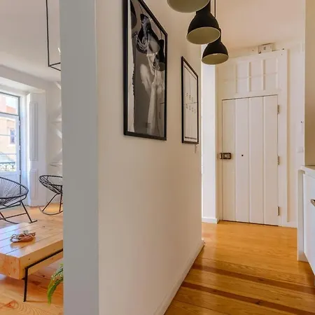 Apartment Plum Guide - Bicicleta Grain *